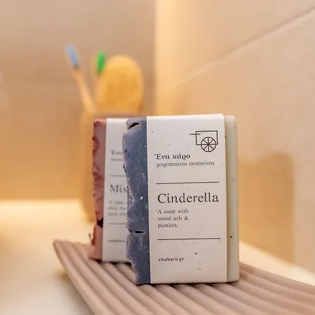 Vincenzo Family Maison d'hôtes Tínos