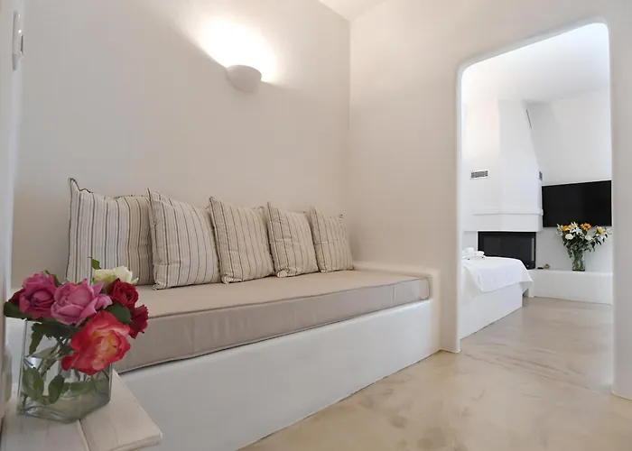 文森佐家庭之家酒店 4* Tínos