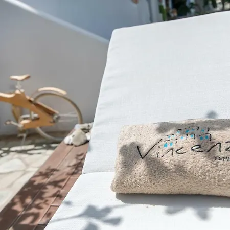 Vincenzo Family Affittacamere Tínos